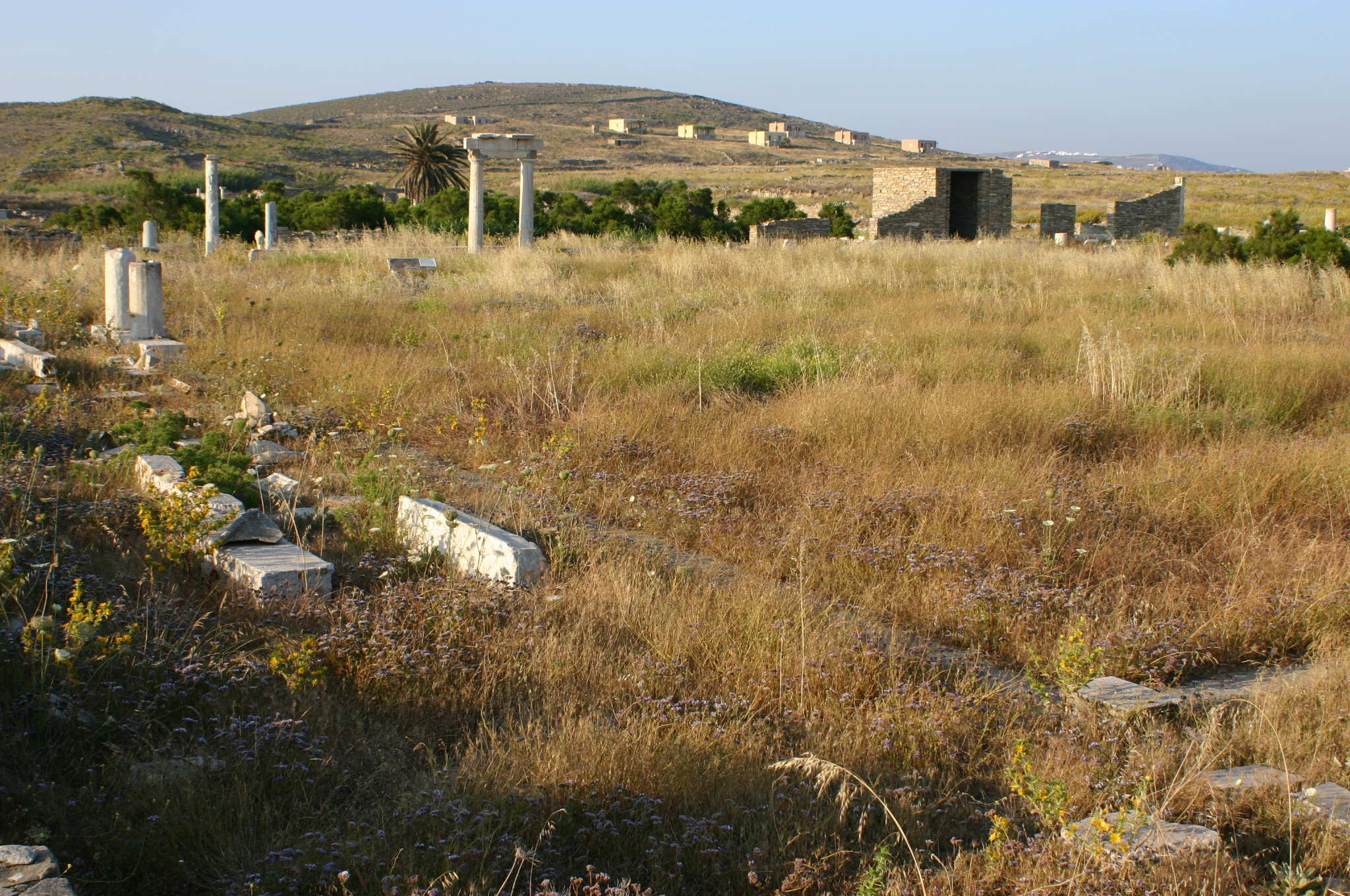 Photo of Agora of the Italians from the southwest