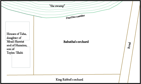Proposed plan of Babatha's orchard