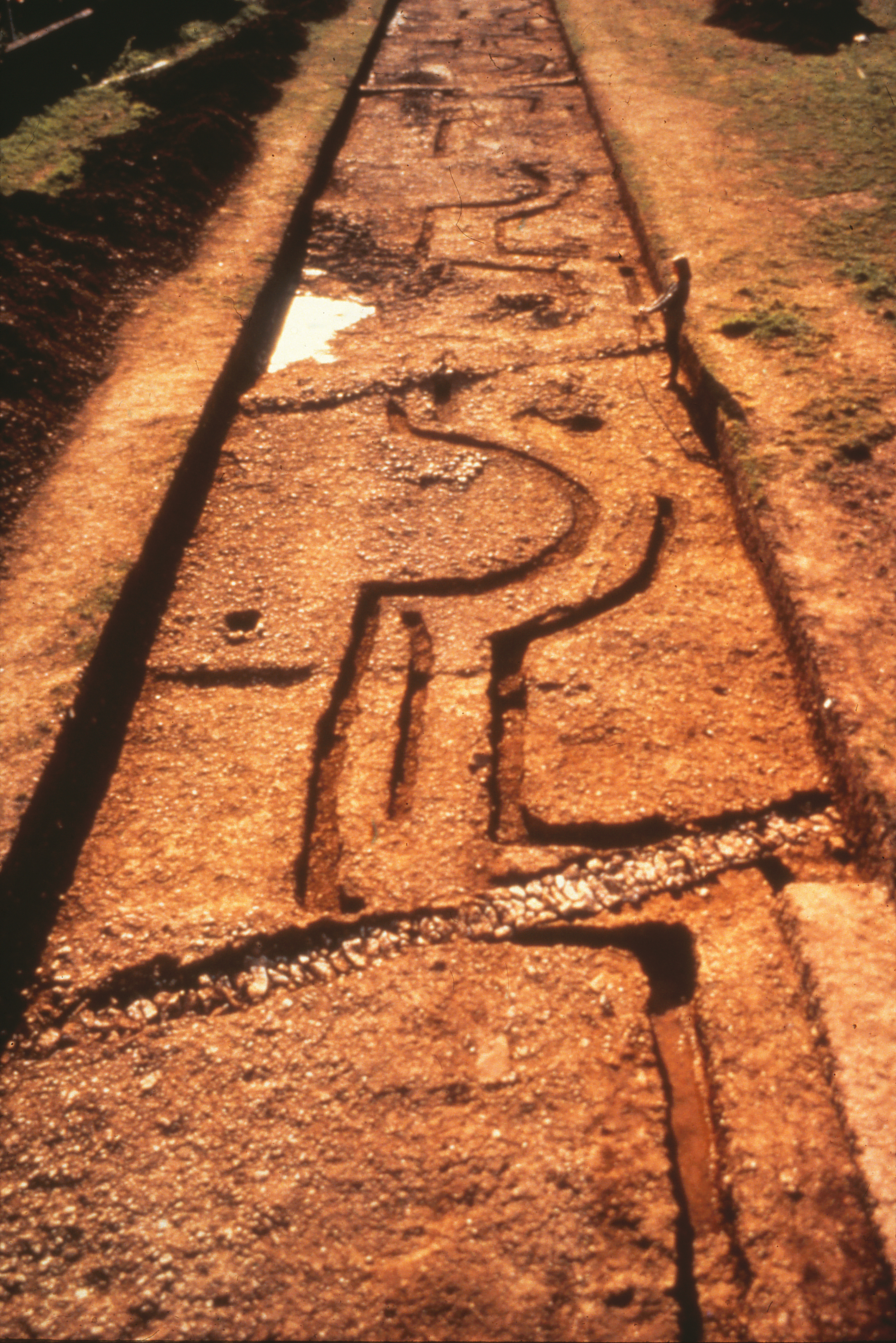 Fig. 2: View of formal garden excavation. Photo courtesy of David Rudkin for Fishbourne Roman Palace.
