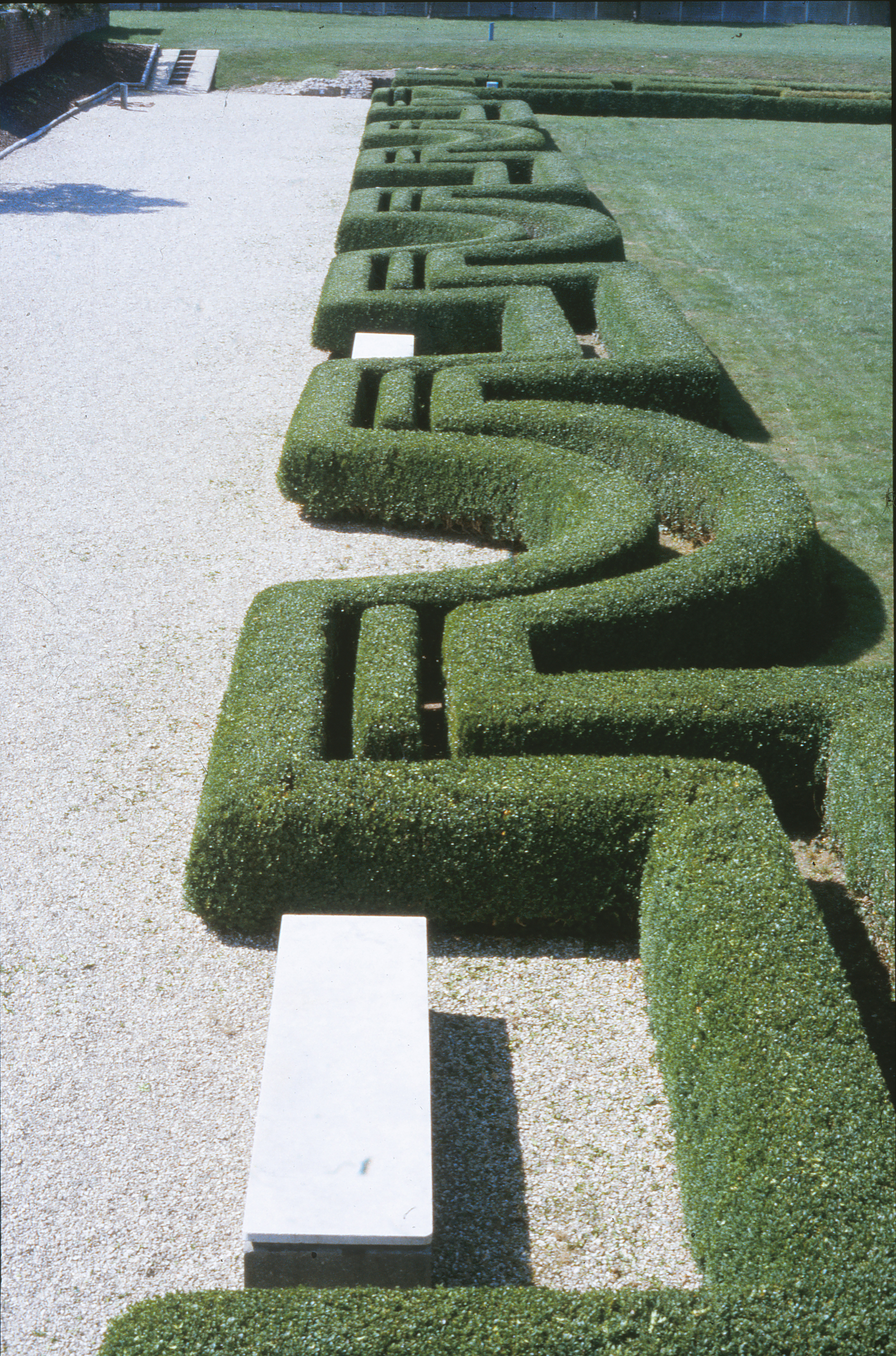 Fig. 3: View of replanted formal garden. Photo courtesy of David Rudkin for Fishbourne Roman Palace.