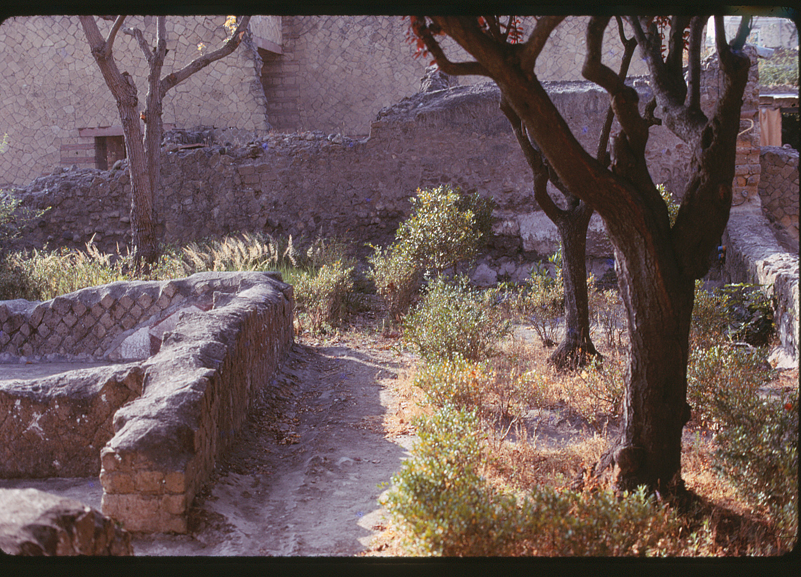 Herculaneum - insula orientalis I. 1-3 (Stanley Jashemski, Jashemski Archives, University of Maryland)