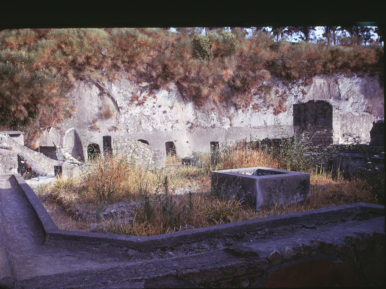 Herculaneum - insula orientalis I. 1-2 (Stanley Jashemski, Jashemski Archives, University of Maryland)