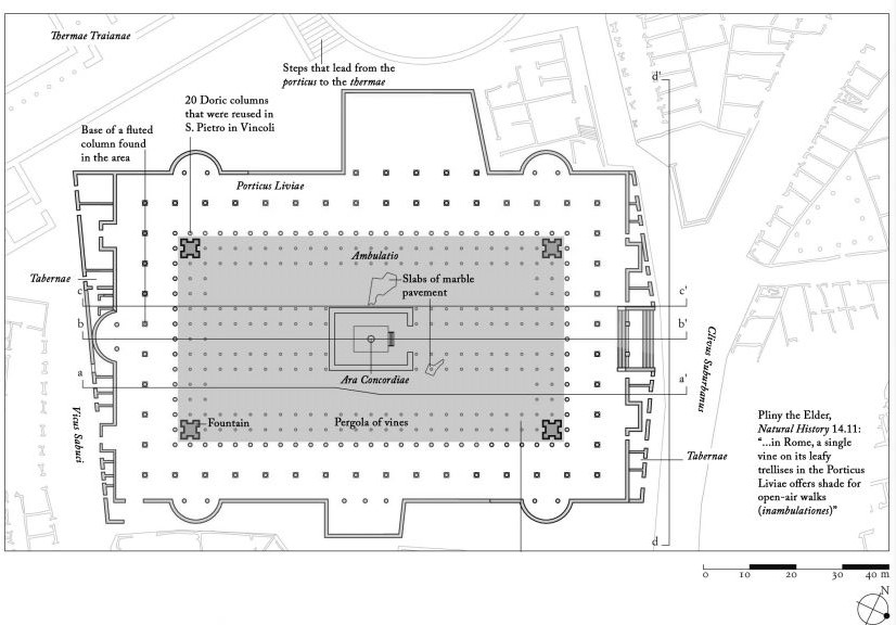 Base Plan, based on the Marble Plan and reconstructed with the vines mentioned in Pliny the Elder