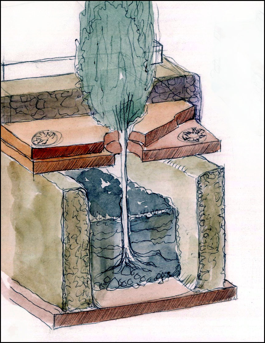 Reconstruction of a tree bed