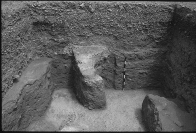 Fig. 3: Photograph of Hamra soil in courtyard (K. Gleason).