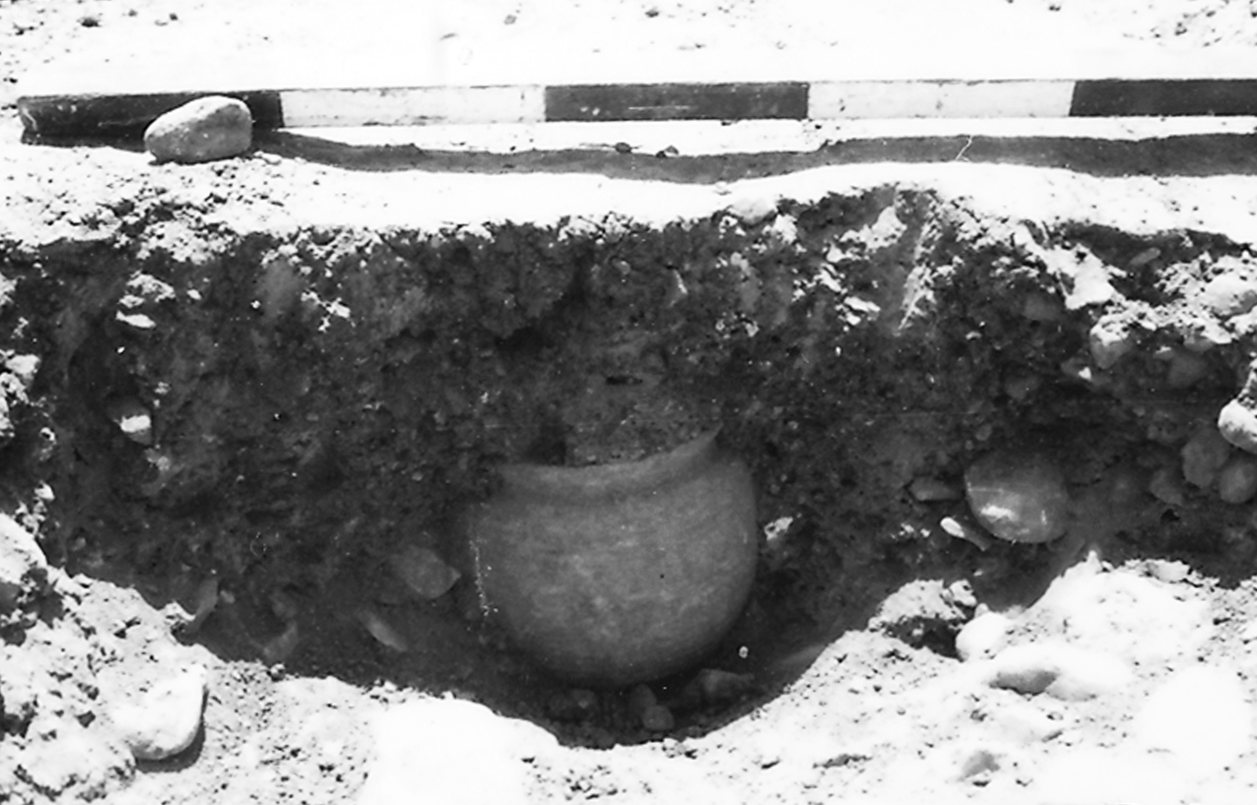 Figure 6: A planting pot No. 23 found in the Ionic Peristyle Courtyard B64 (K. Gleason).