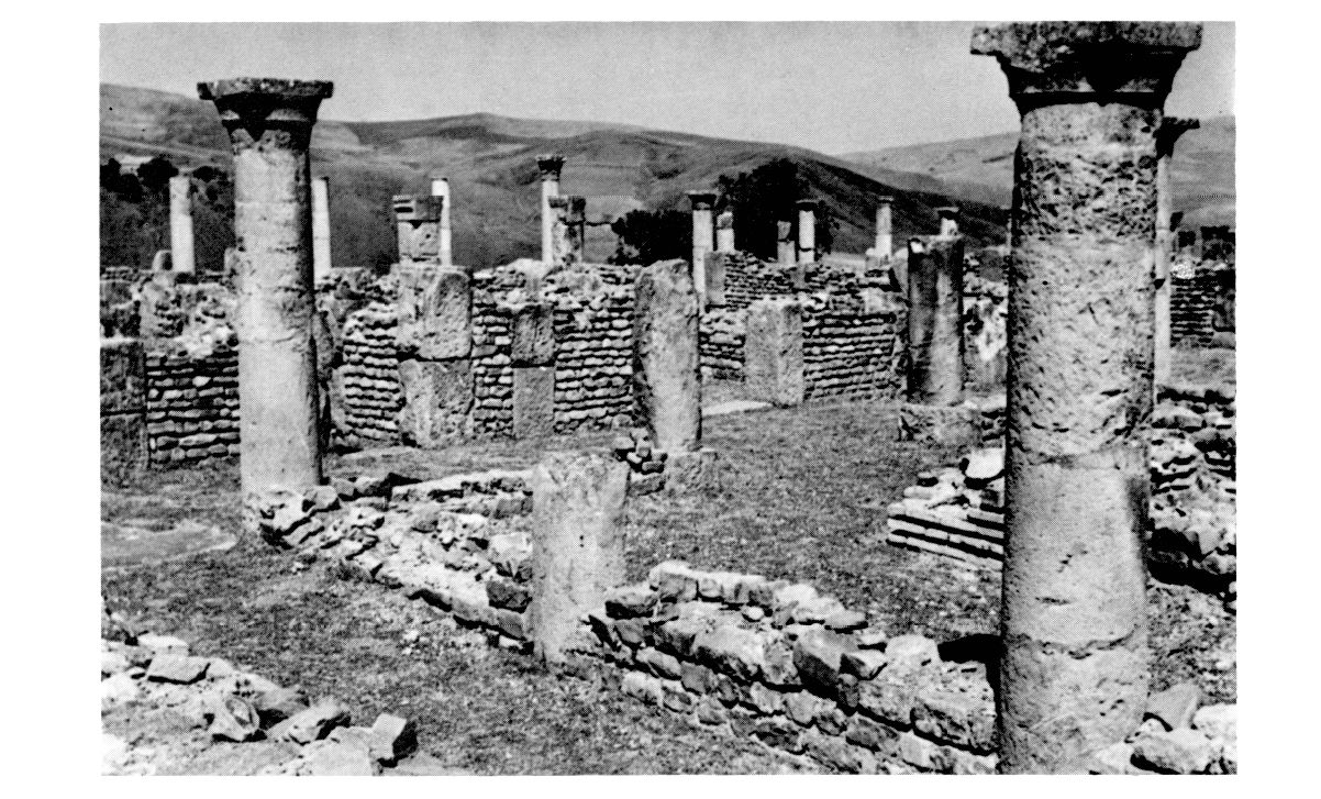 Southwest corner of the peristyle XVI, the L shaped planted area.